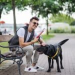 Sport Peppers Signature Taste for Chicago Style Dogs